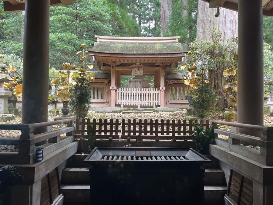 Mount Koya: Full-Day Private Guided Tour from Osaka - Price and value, what $241 really covers