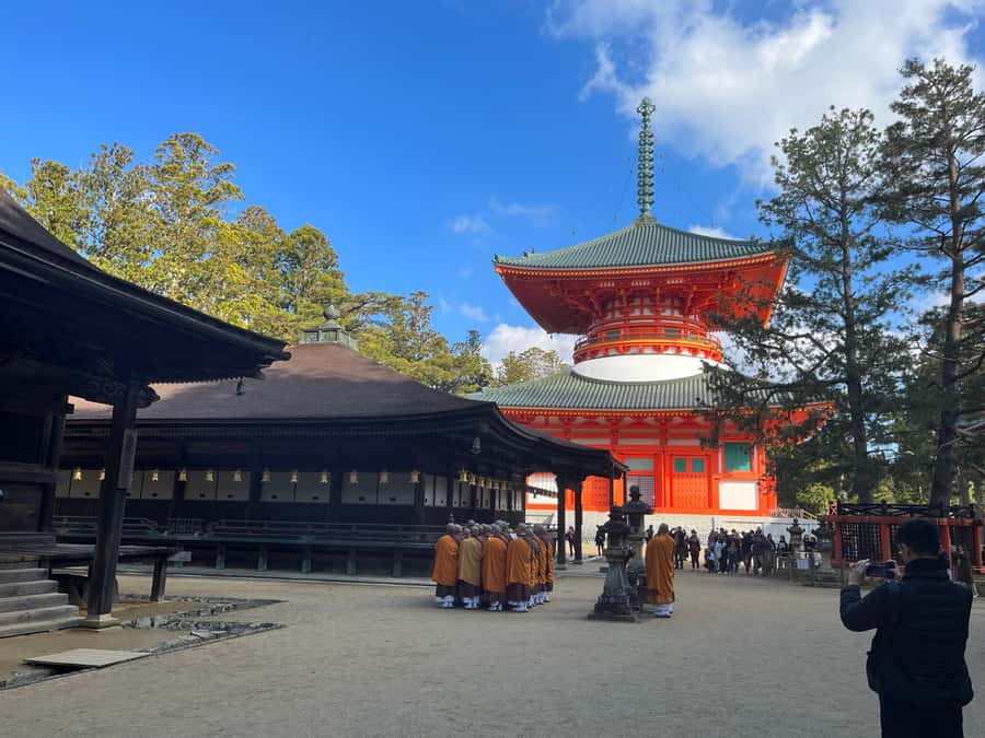 Mount Koya: Full-Day Private Guided Tour from Osaka - Namba departures, train time, and the cable car effect