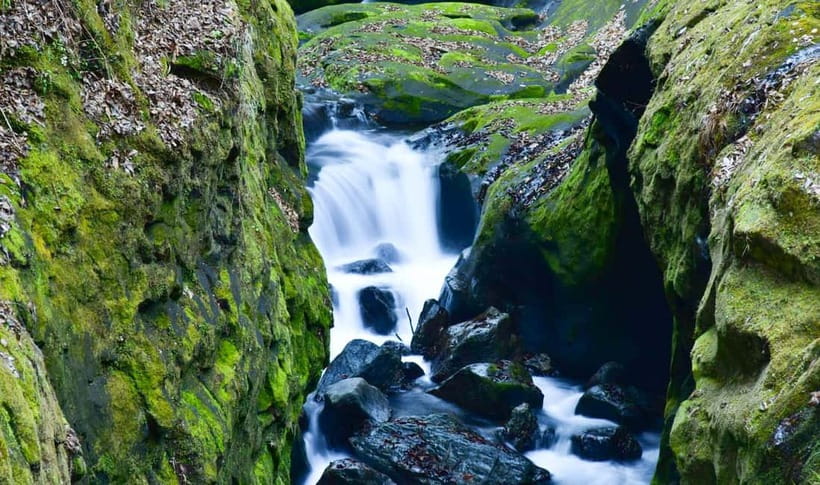 Mt. Aso & Takachiho Gorge Tour with Optional Boat Ride - How guides really shape this experience