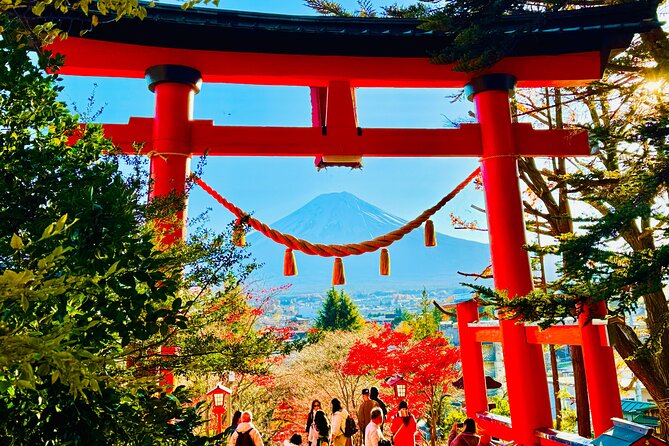 "Mt. Fuji 1-Day Private Tour with English Speaking Driver-Guide" - Oshino Hakkai: Fuji spring water and a calmer pace