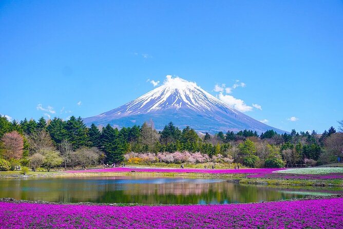 "Mt. Fuji 1-Day Private Tour with English Speaking Driver-Guide" - Saiko Iyashi no Sato Nenba: traditional village vibes by Lake Saiko