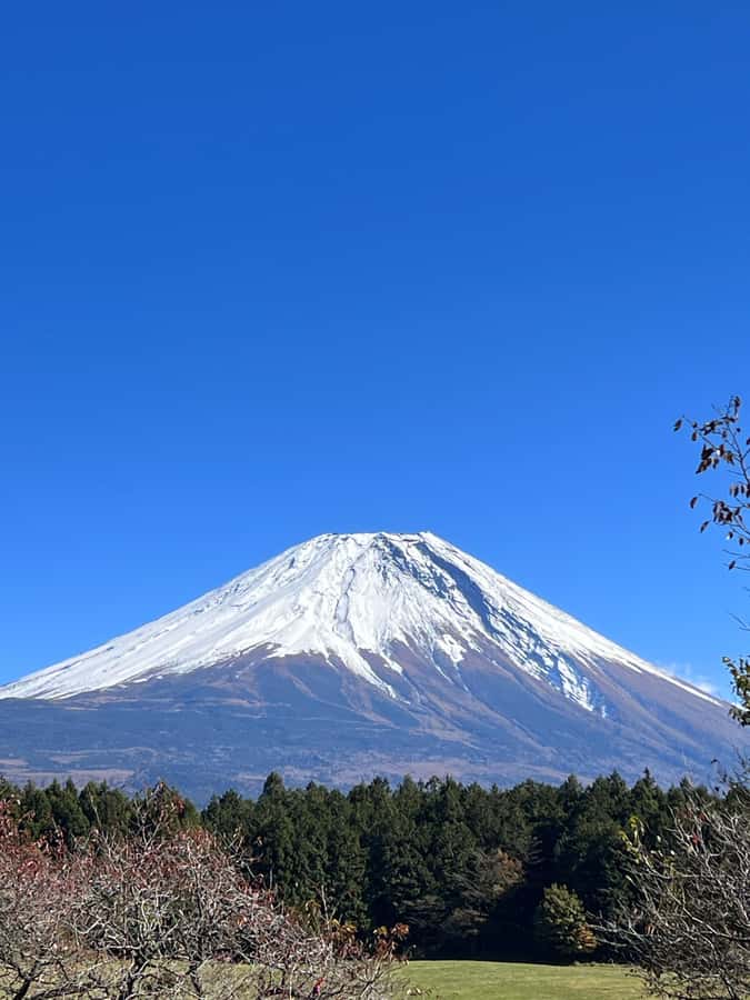 Mt. Fuji: 2-Day Climbing Tour with Mountain Guide - Day 2 midnight restart, summit window, and the crater walk choice