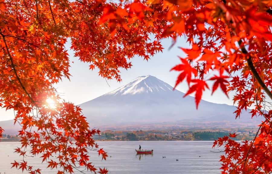 Mt. Fuji 6 Attractions Tour: Lake Kawaguchi, Oshino Hakkai - Key things to know before you go