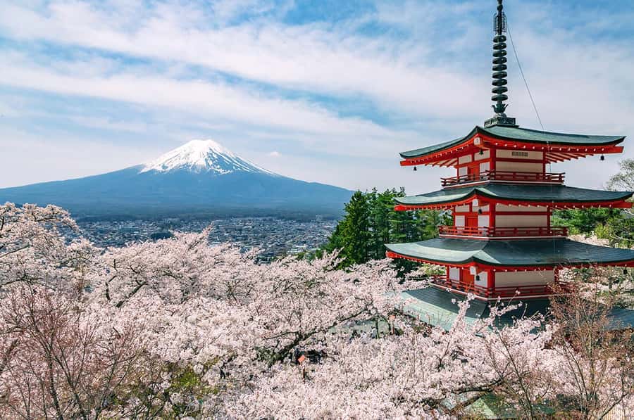 Mt. Fuji 6 Attractions Tour: Lake Kawaguchi, Oshino Hakkai - Oshino Hakkai, eight springs shaped by Mt. Fuji snowmelt