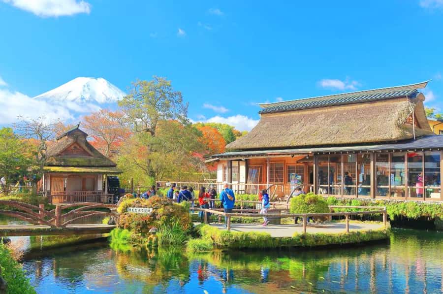 Mt. Fuji 6 Attractions Tour: Lake Kawaguchi, Oshino Hakkai - Kawaguchiko Oishi Park, where Fuji becomes a seasonal photo frame