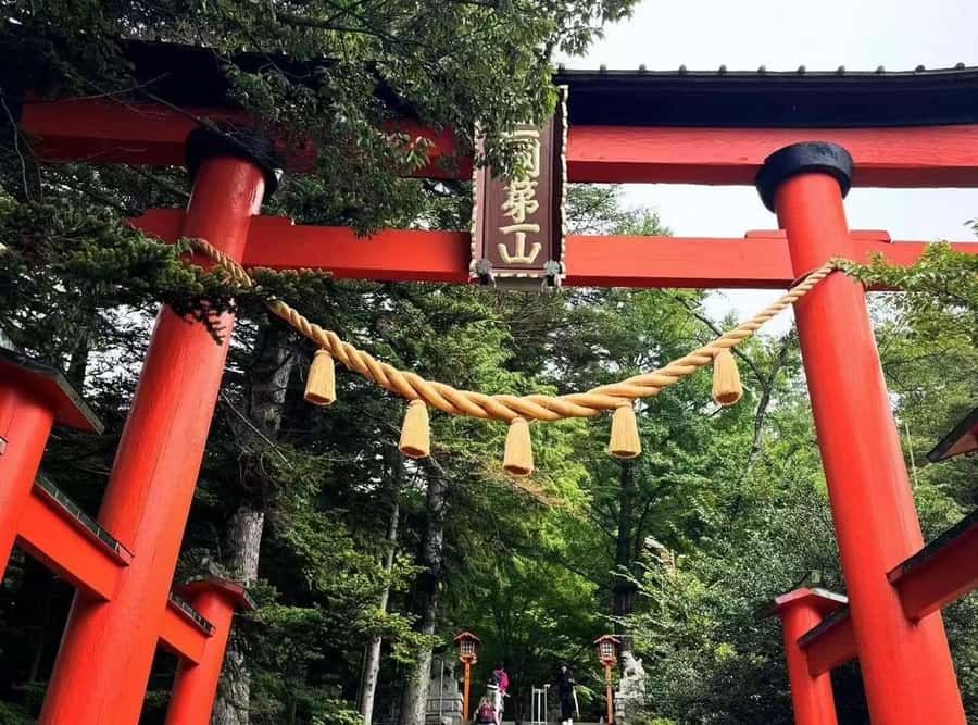 Mt. Fuji 6 Attractions Tour: Lake Kawaguchi, Oshino Hakkai - Timing and how the day actually feels (8 AM to around 6 PM)