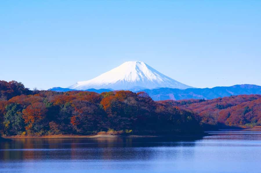 Mt. Fuji 6 Attractions Tour: Lake Kawaguchi, Oshino Hakkai - Guides: how Anna and Evita can make the whole thing easier