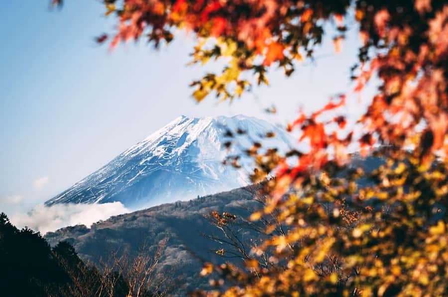 Mt. Fuji 6 Attractions Tour: Lake Kawaguchi, Oshino Hakkai - Arakura Sengen Shrine and Shinkurayama Sengen Park, the classic pagoda viewpoint