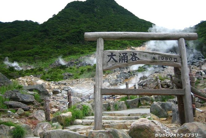 Mt. Fuji and Hakone Day Trip From Tokyo with Bullet Train Option - Guides are the difference between a checklist and a memorable day