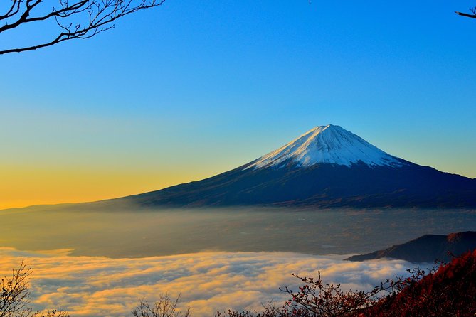 Mt. Fuji and Hakone Private Sightseeing from Tokyo “ENGLISH” - Private Door-To-Door Pickup From Tokyo