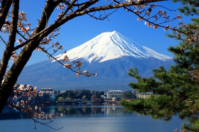Mt. Fuji, Cherry Blossom & Shiba Sakura Pvt. Day Tour - Why a private Mt. Fuji trip from Tokyo feels like a cheat code