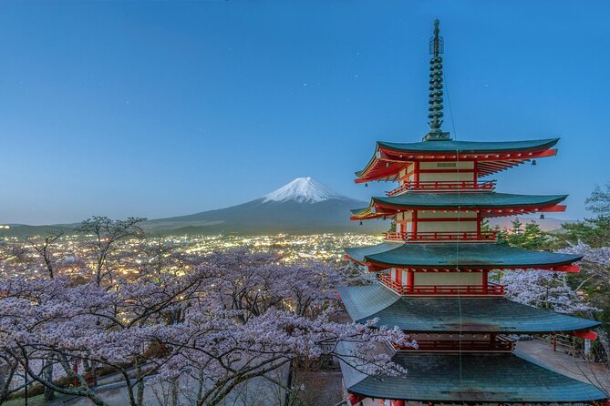 Mt FUJI Day Tour with Private Car and English Speaking Guide - Mt. Fuji 5th Station: closest access, plus seasonal transport reality