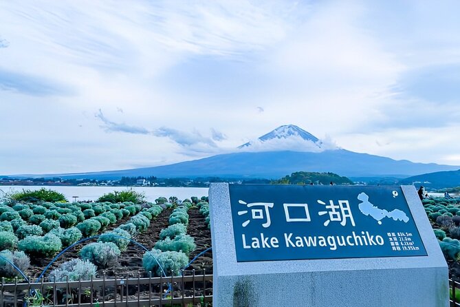 Mt FUJI Day Tour with Private Car and English Speaking Guide - Chureito Pagoda and Arakura Sengen Shrine: start with the postcard view