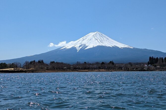 Mt. Fuji Day Trip from Tokyo with English Speaking Driver Guide - Private Van to Fuji: What You’re Really Buying