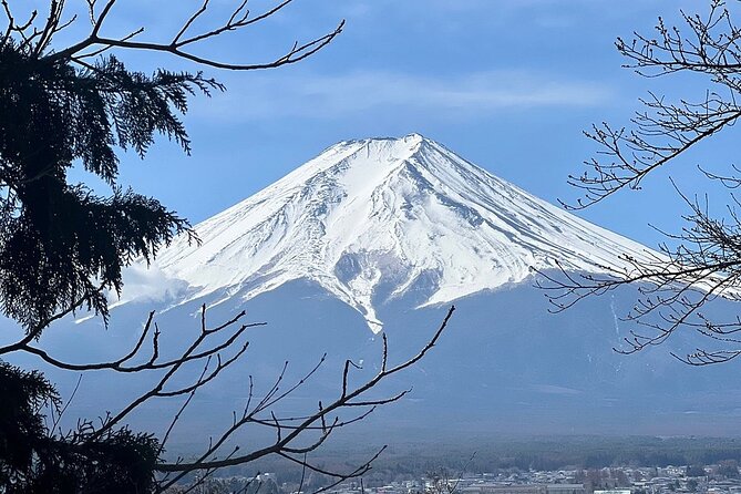 Mt. Fuji Day Trip from Tokyo with English Speaking Driver Guide - Oshino Hakkai and Oishi Park: Water Town Charm, Quick Walks