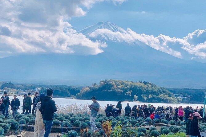 Mt. Fuji Day Trip from Tokyo with English Speaking Driver Guide - Hotel Pickup and the 10-Hour Timing Game
