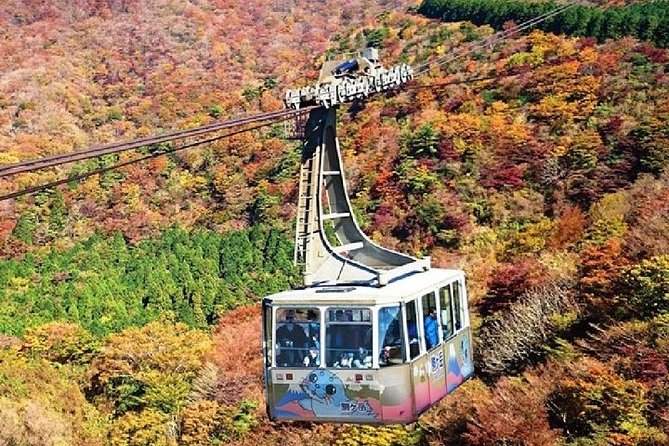 Mt Fuji & Hakone Cruise, Drum Show Bullet Train 1 Day from Tokyo - Hakone Ropeway to Mt Komagatake: summit views and a red shrine stop