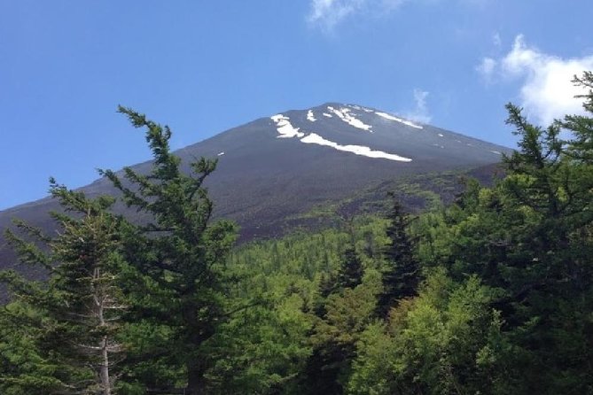 Mt Fuji & Hakone Cruise, Drum Show Bus 1 Day from Tokyo - Lake Ashi cruise on the Sorakaze: postcard water, short and sweet