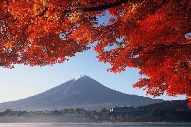 Mt Fuji & Hakone Cruise, Drum Show Bus 1 Day from Tokyo - Hakone Komagatake Ropeway: shrine area and panoramic payoff