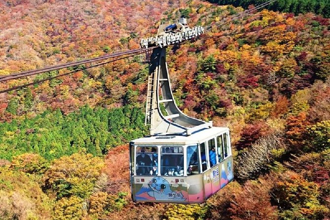 Mt Fuji & Hakone Cruise, Drum Show Bus 1 Day from Tokyo - Price and what you really get for $122.55
