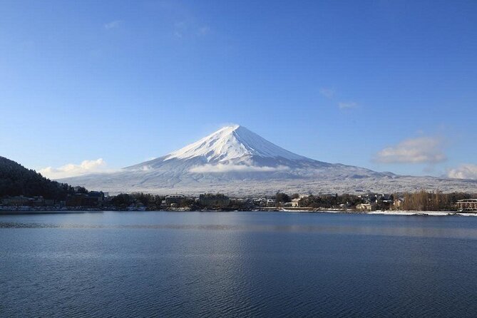 Mt Fuji & Hakone Cruise, Drum Show Bus 1 Day from Tokyo Sta. Area - Is this Mt. Fuji and Hakone day trip good value?