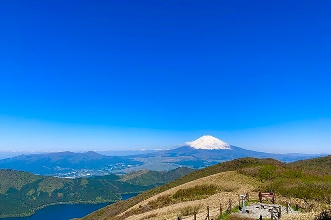 Mt Fuji & Hakone Cruise, Drum Show Bus 1 Day from Tokyo Sta. Area - Odawara Station and your return to Tokyo