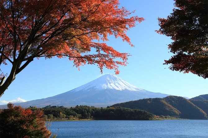 Mt Fuji & Hakone Cruise, Drum Show Bus 1 Day from Tokyo Sta. Area - Meeting in Tokyo Yaesu: the easiest way to start