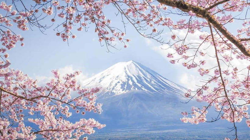 Mt.Fuji Hakone Day Tour With Lake Ashi Cruise, FREE Ropeway - What to pack, how to eat, and how to deal with weather