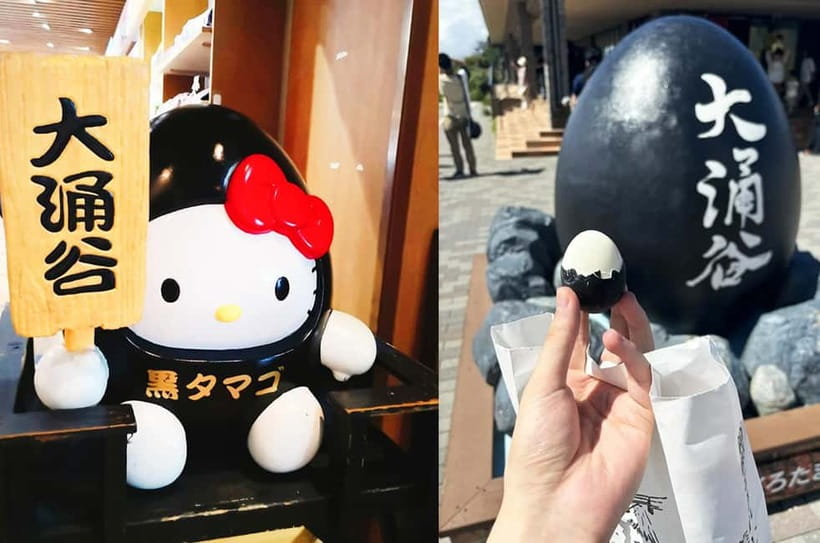 Mt Fuji Hakone/Enoshima Tour:Optional Ropeway/Lake Ashi Boat - Price and Value: What You Pay For, What You Budget For