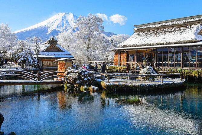 Mt. Fuji, Hakone Full-Day Private Tour with English Driver Guide - Key points to know before you go
