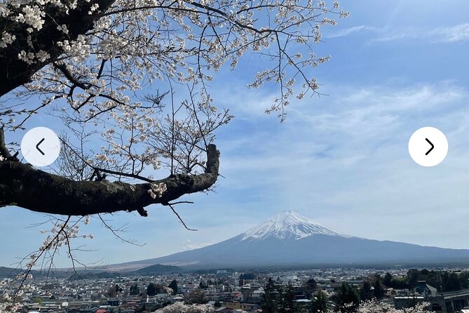 Mt. Fuji, Hakone Full-Day Private Tour with English Driver Guide - Lake Kawaguchiko and the Ensoleille boat plus Kachi Kachi cable option