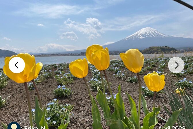 Mt. Fuji, Hakone Full-Day Private Tour with English Driver Guide - Oshino Hakkai ponds: the Fuji myth made physical