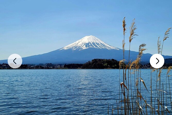 Mt. Fuji, Hakone Full-Day Private Tour with English Driver Guide - Hakone’s volcanic hit: Owakudani and the black-egg atmosphere