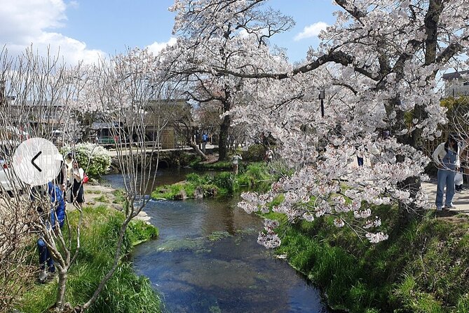 Mt. Fuji, Hakone Full-Day Private Tour with English Driver Guide - Lake Ashinoko and Hakone Shrine torii views: the postcard goal