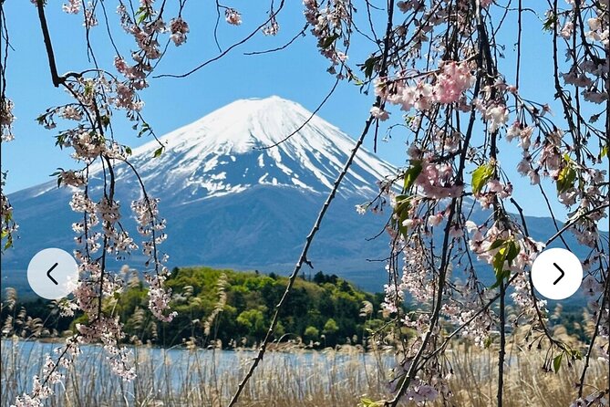 Mt. Fuji, Hakone Full-Day Private Tour with English Driver Guide - Arakurayama Sengen Park and the Chureito Pagoda viewpoints
