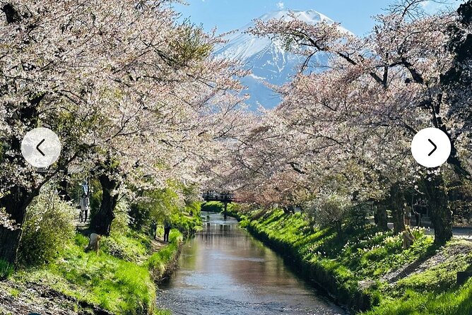 Mt. Fuji, Hakone Full-Day Private Tour with English Driver Guide - How the English driver guide and flexible route really work