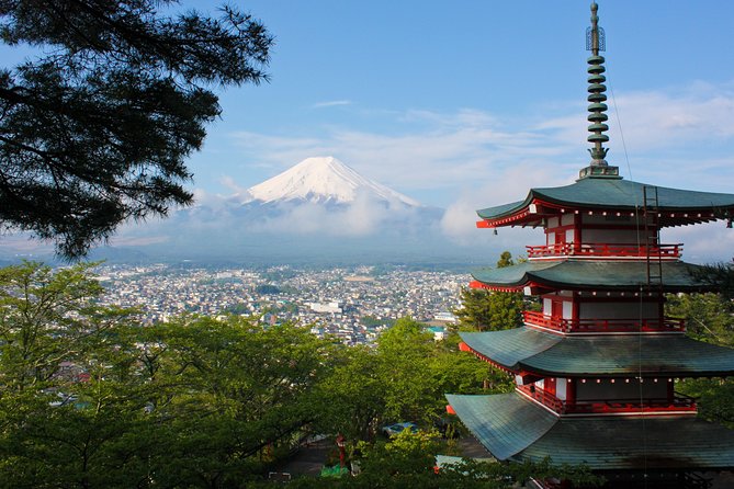 Mt. Fuji & Hakone Private Day Tour with English-Speaking Driver - Price and Value: What You Pay for, and What You Should Budget