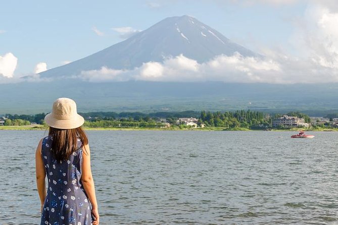 Mt. Fuji & Hakone Private Day Tour with English-Speaking Driver - Fuji Photo Stops and Shrine Time: The Calm Side of the Mountain