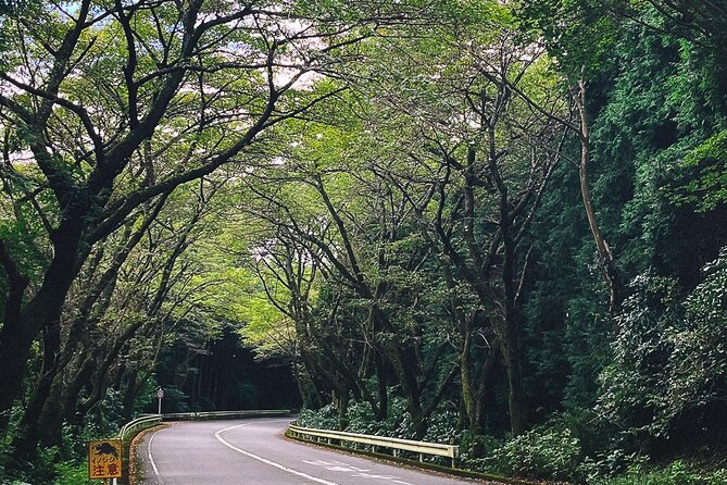Mt. Fuji, Hakone Private Tour from Tokyo - Onsen, Arts and Nature - Lake Ashinoko Sky Line: The Second Big Road for Fuji Chances