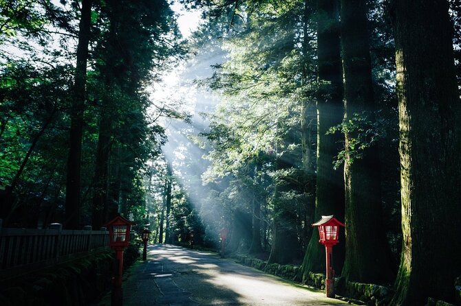 Mt. Fuji, Hakone Private Tour from Tokyo - Onsen, Arts and Nature - Price and Logistics: What You Pay for, and What Gets Added