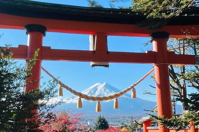 Mt Fuji & Hakone Private Tour from Tokyo & Yokohama - Picking your Fuji vs Hakone mix, and what you can customize