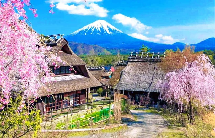 Mt. Fuji Heritage Tour: Traditional Villages, Lakes & Shrine - Key highlights you should care about