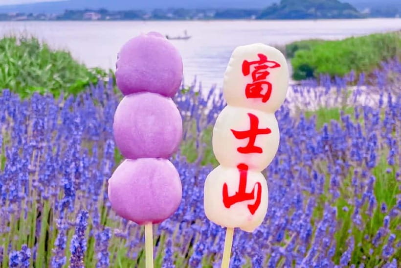 Mt. Fuji Heritage Tour: Traditional Villages, Lakes & Shrine - Oishi Park and the Maple Corridor: seasonal colors, plus one schedule rule