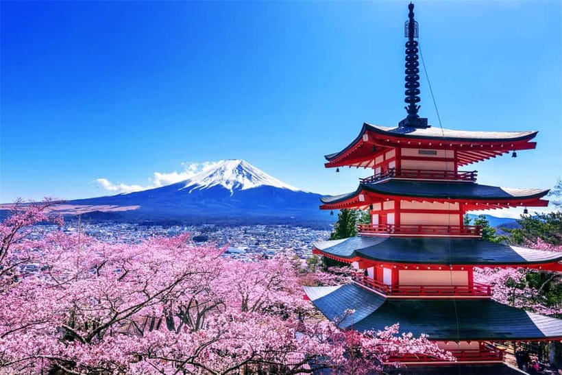 Mt. Fuji Heritage Tour: Traditional Villages, Lakes & Shrine - Arakurayama Sengen Park and the Chureito Pagoda: classic Fuji framing, plus a climb