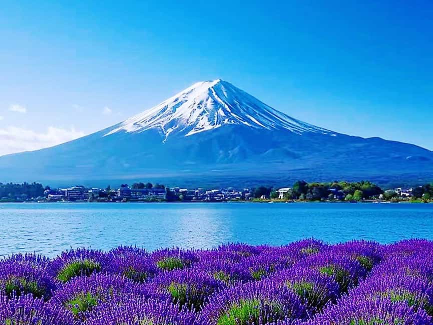 Mt. Fuji & Lake Kawaguchiko Ropeway,Oshino Hakkai 1-Day Tour - The Fuji-View Lawson: Why This Convenience Store Is a Photo Magnet