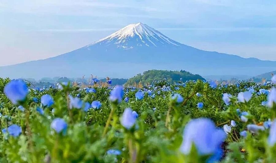 Mt. Fuji & Lake Kawaguchiko Ropeway,Oshino Hakkai 1-Day Tour - Kachikachi Ropeway: The Slow Climb That Turns Mt. Fuji Into a Full-Frame Moment