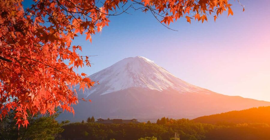MT.Fuji: Mount Fuji Private day Tour With Guide - Kitaguchi-hongu Fuji Sengen Shrine: giant torii and cedar shade
