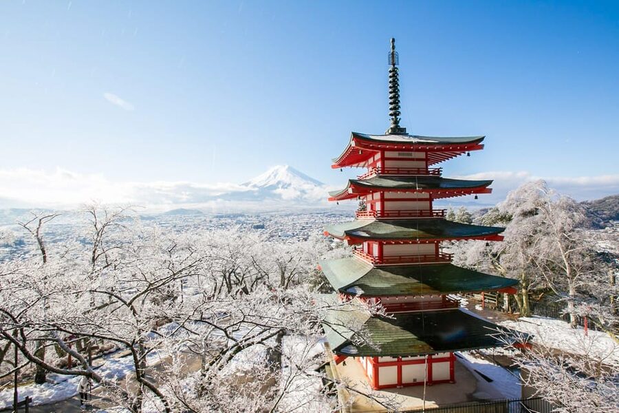 MT.Fuji: Mount Fuji Private day Tour With Guide - Tokyo pickup and the smooth start
