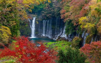 Mt Fuji : Private 10-Hour Luxury Tour by Exclusive Car