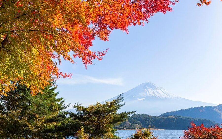 Mt Fuji : Private 10-Hour Luxury Tour by Exclusive Car - Price and value: when $529 per group makes sense